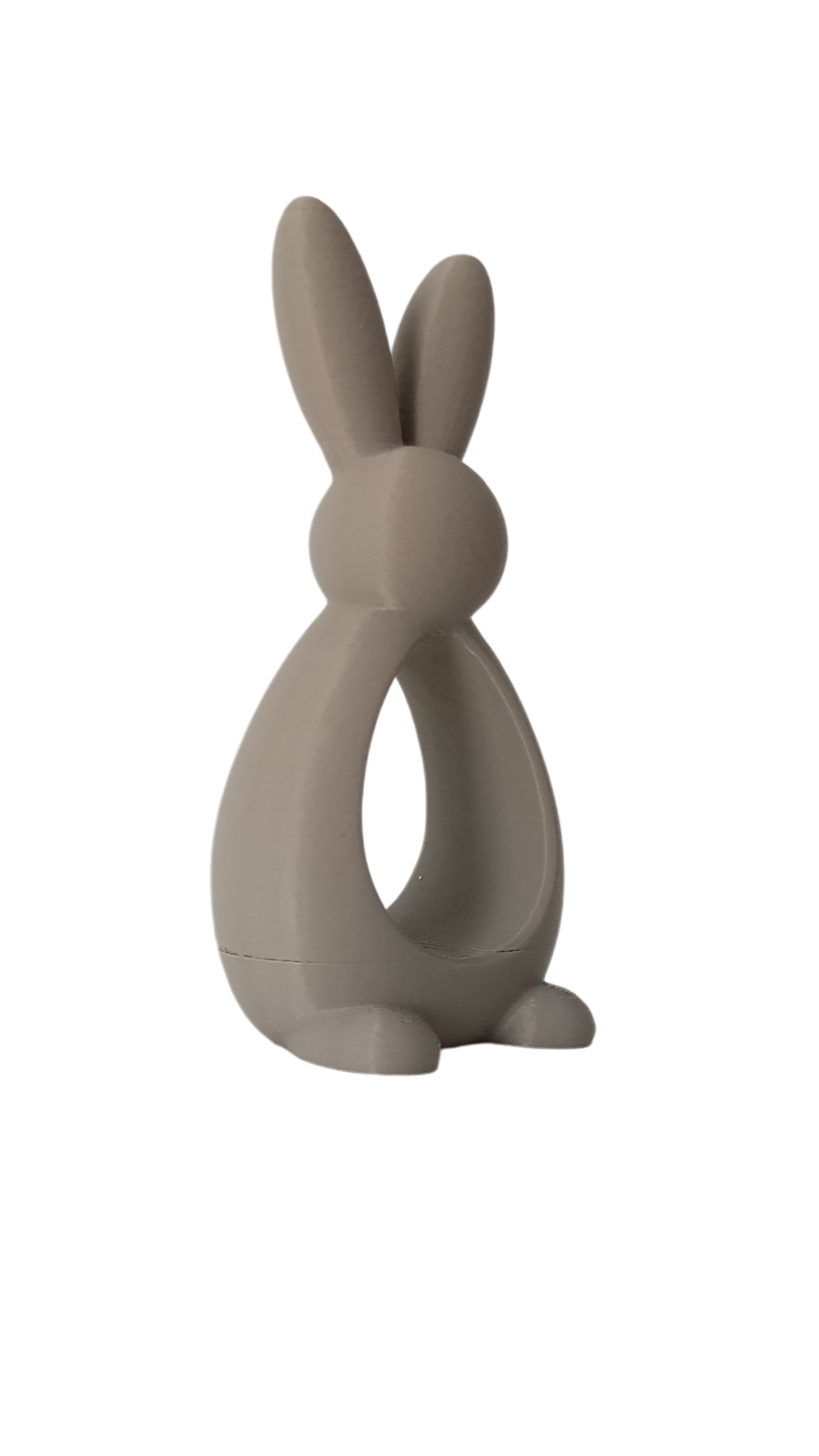 Bunny Frame – Conejo Decorativo