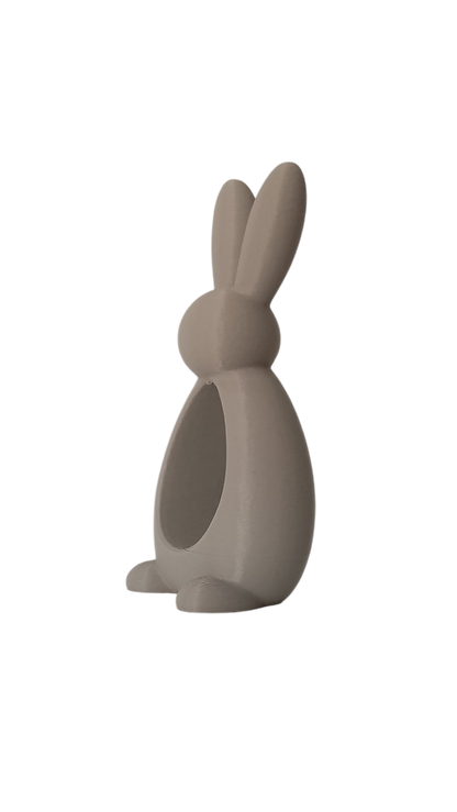 Bunny Frame – Conejo Decorativo