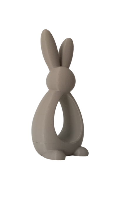 Bunny Frame – Conejo Decorativo