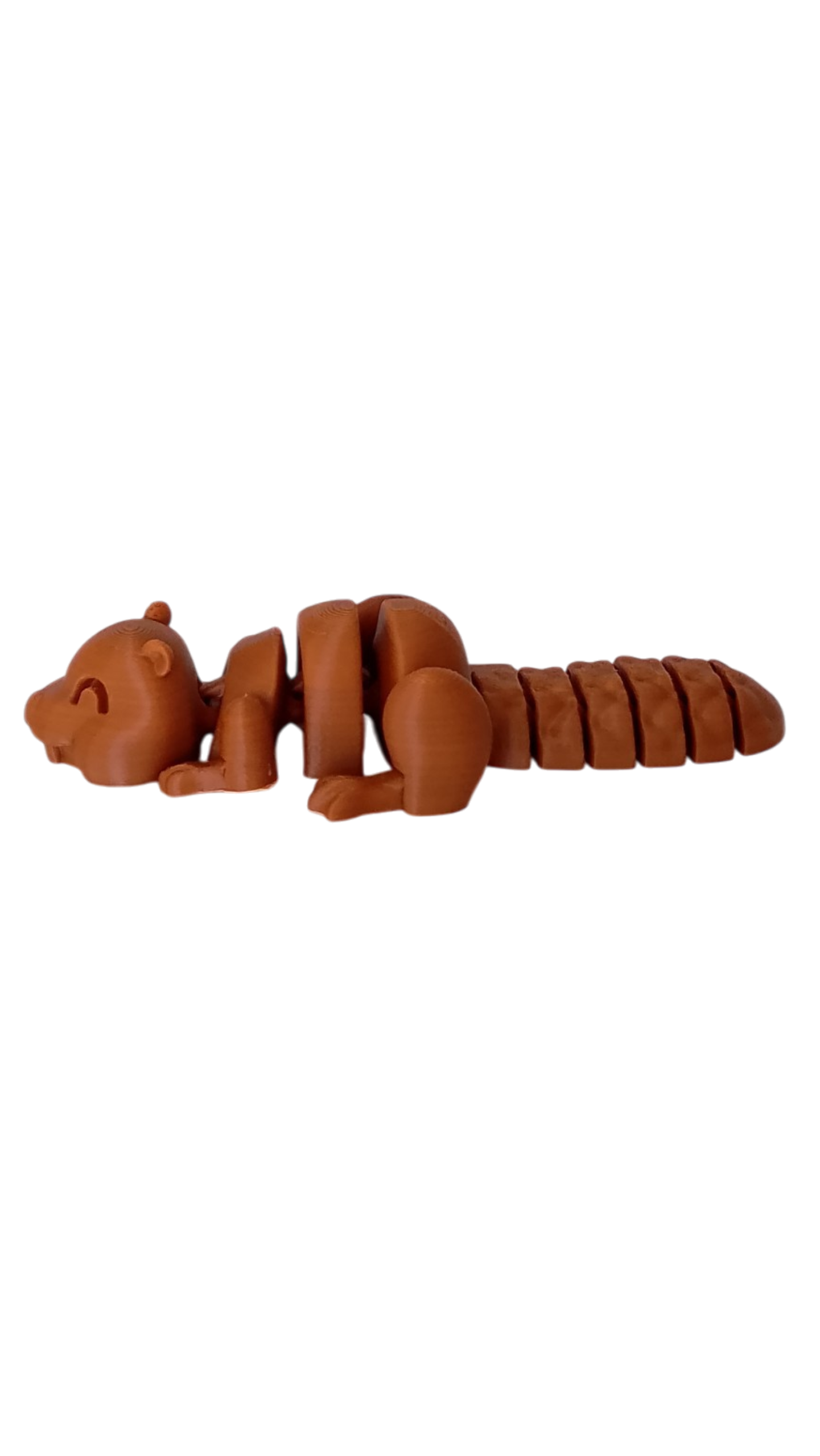BeaverPlay – Set Interactivo