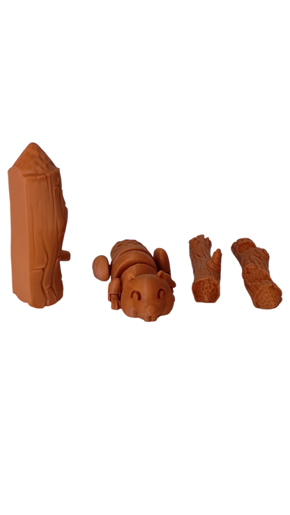 BeaverPlay – Set Interactivo