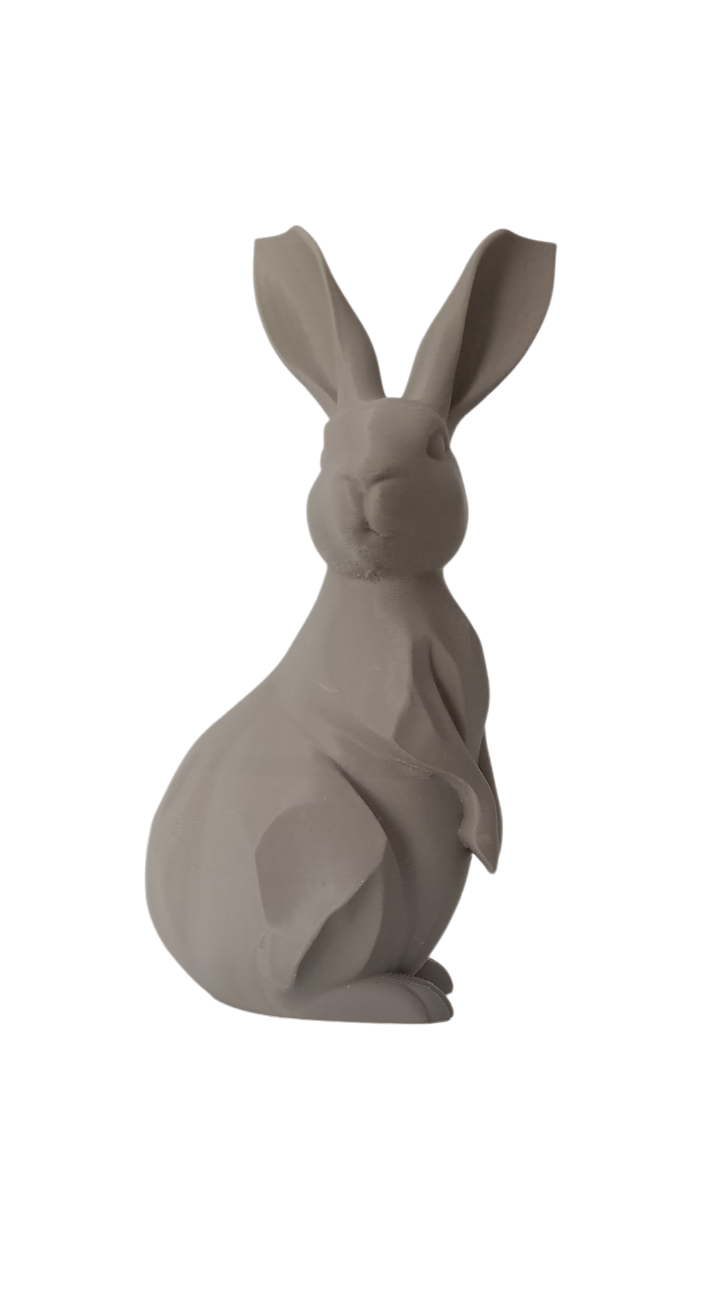 Geometric Bunny