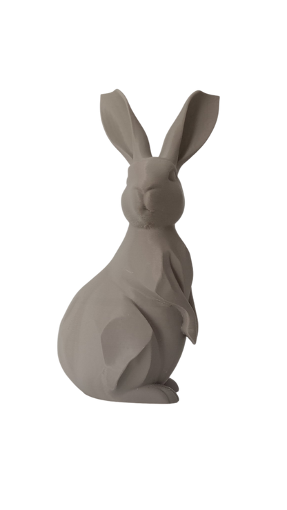 Geometric Bunny