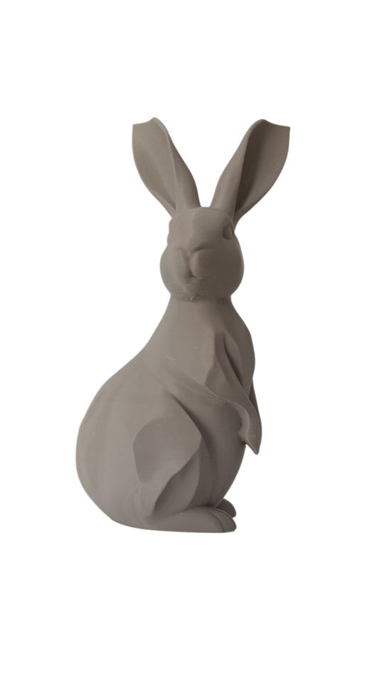 Geometric Bunny