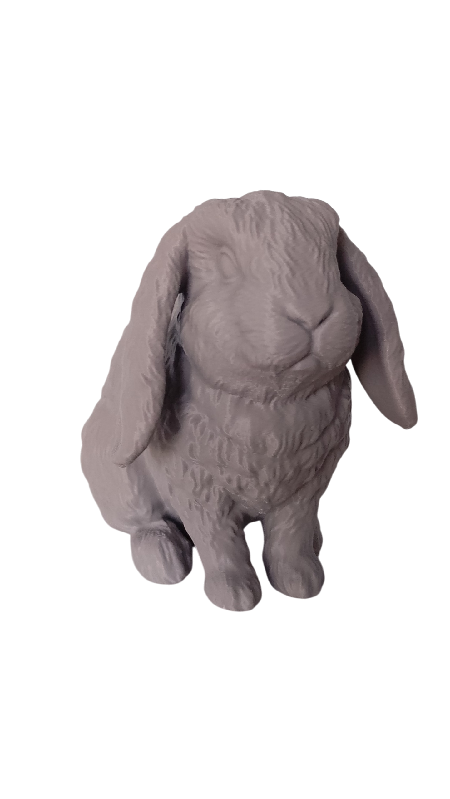 Custom Pet