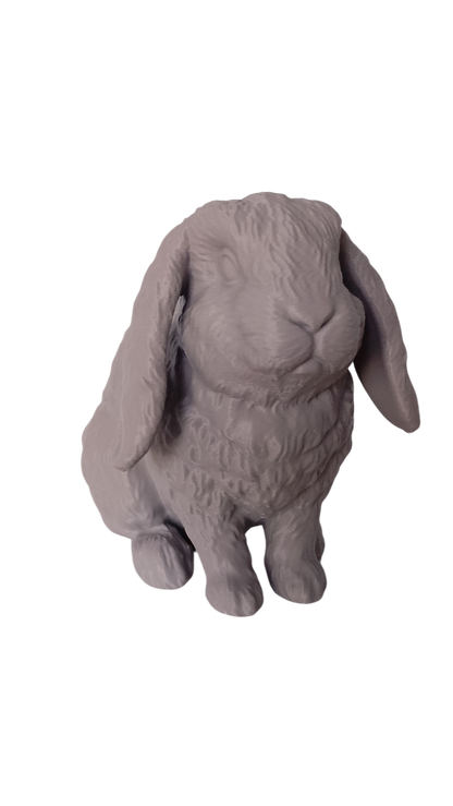 Custom Pet