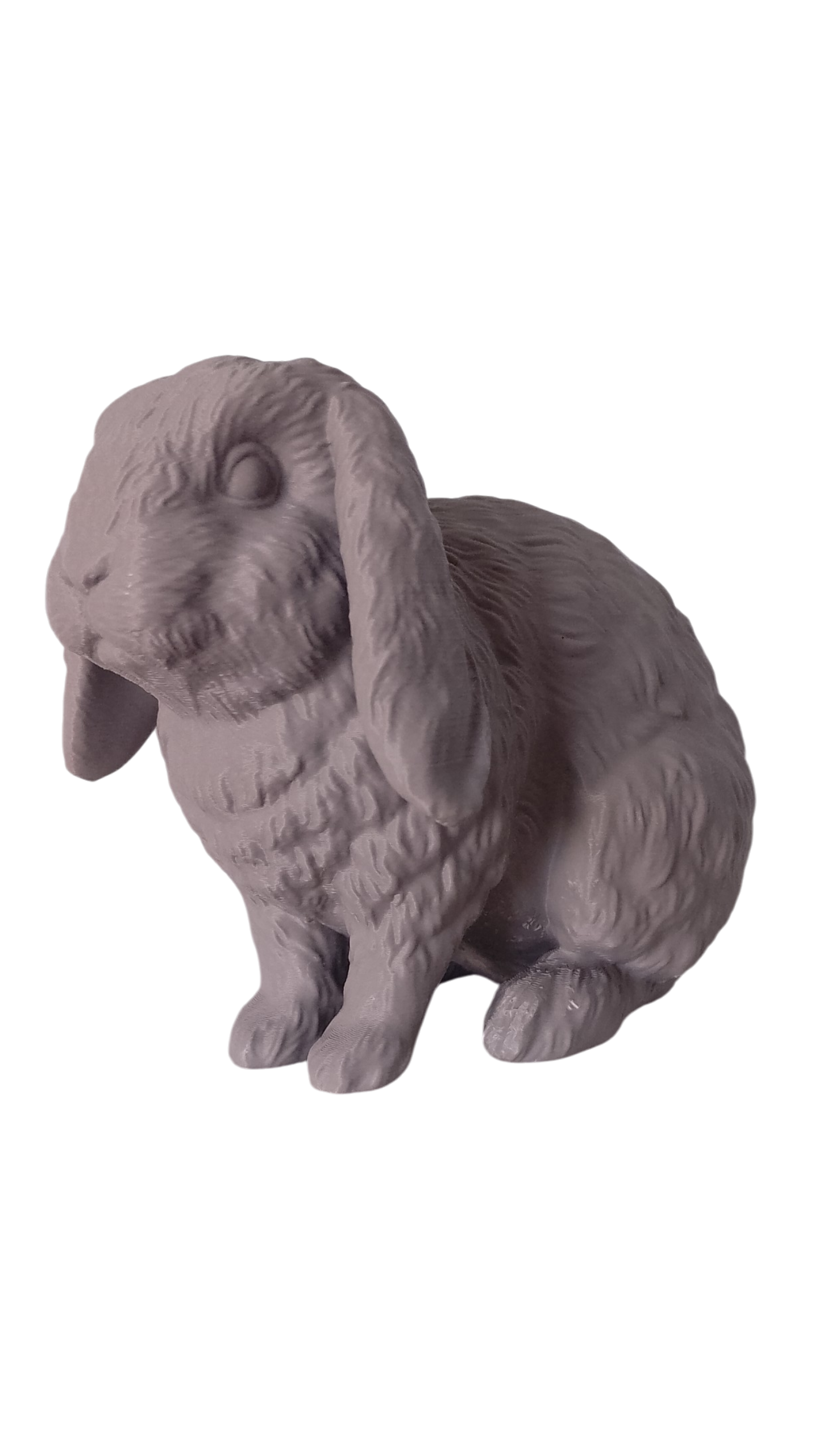 Custom Pet