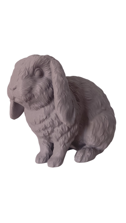 Custom Pet