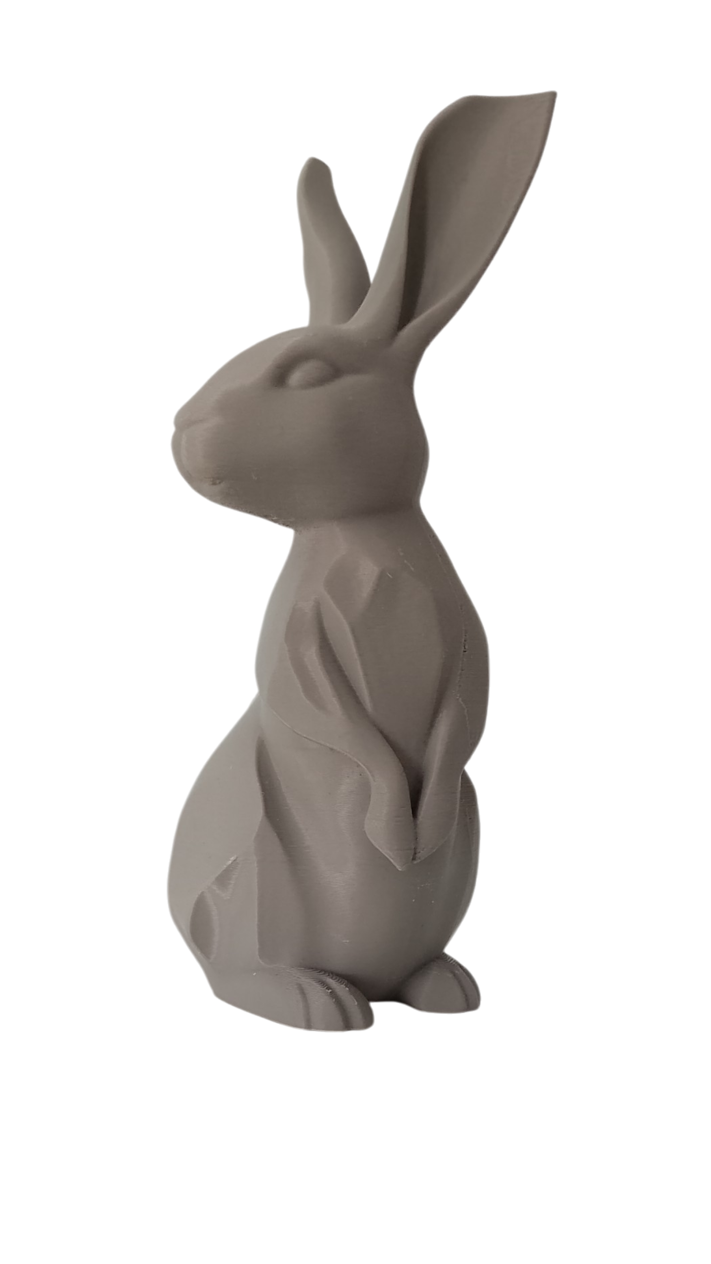 Geometric Bunny
