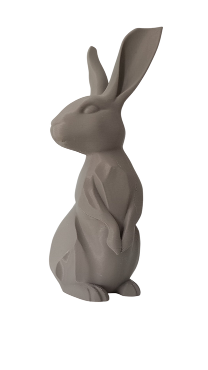 Geometric Bunny