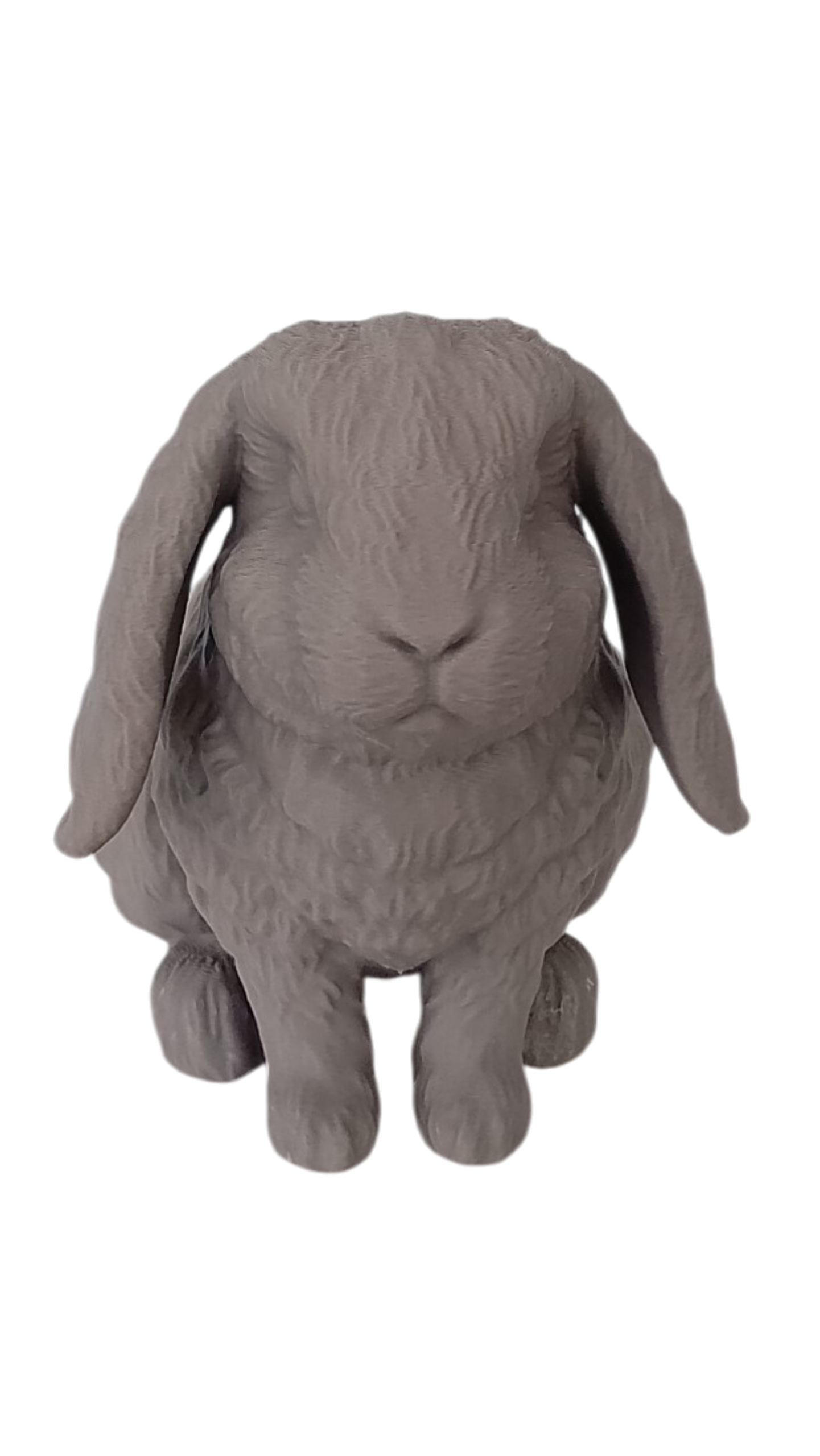 Custom Pet