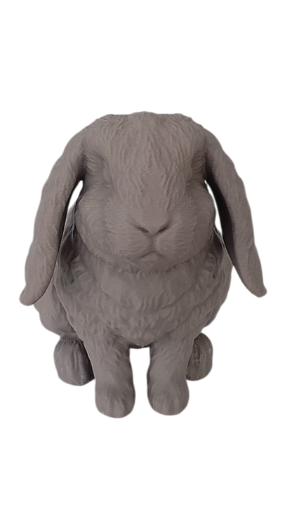 Custom Pet