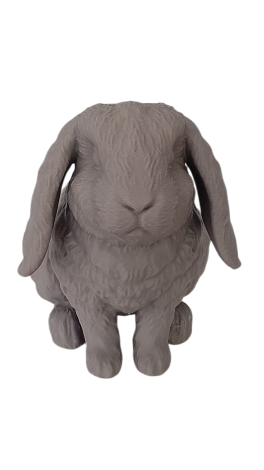 Custom Pet