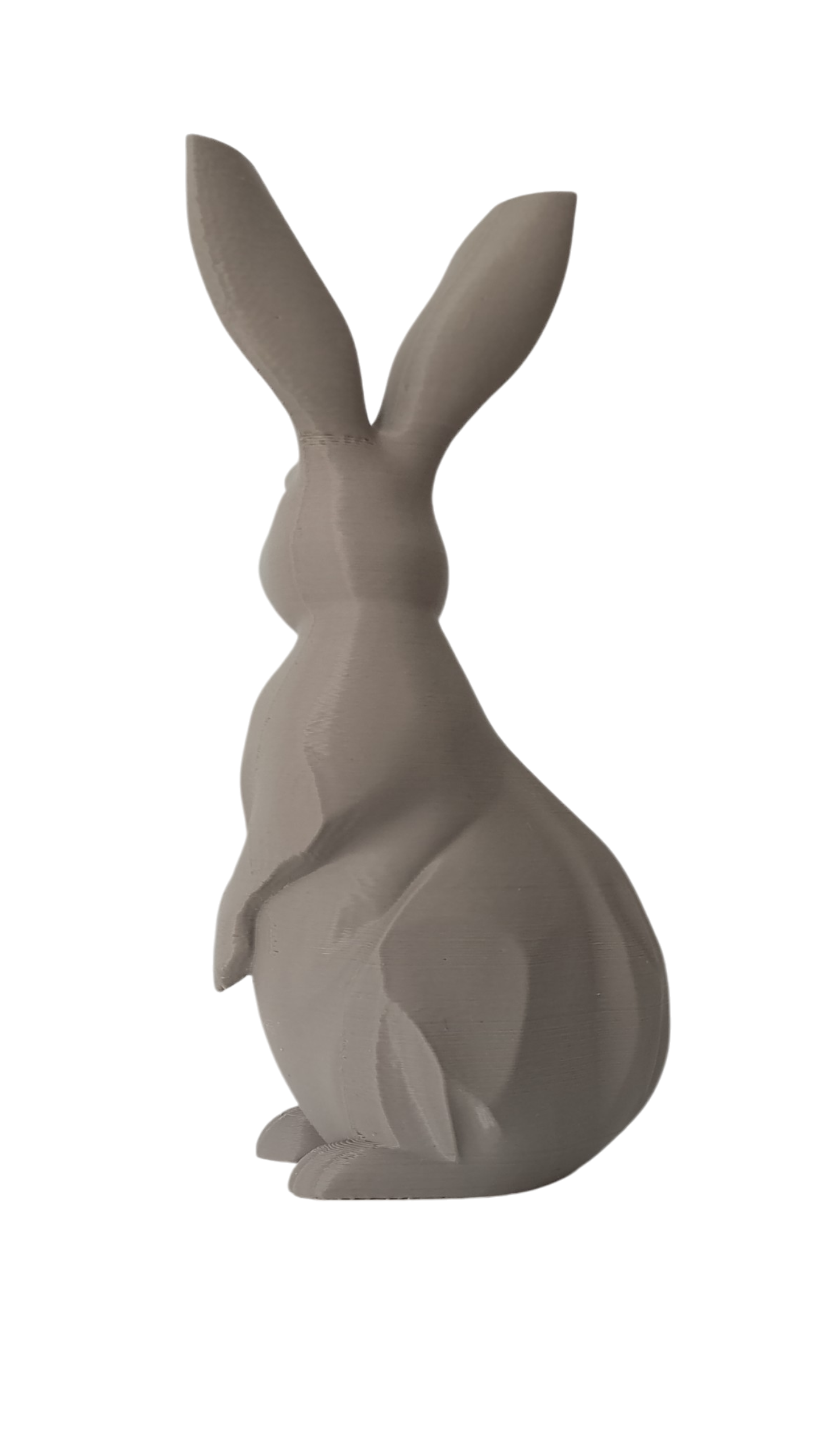 Geometric Bunny