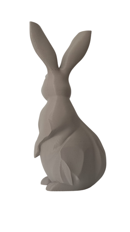 Geometric Bunny