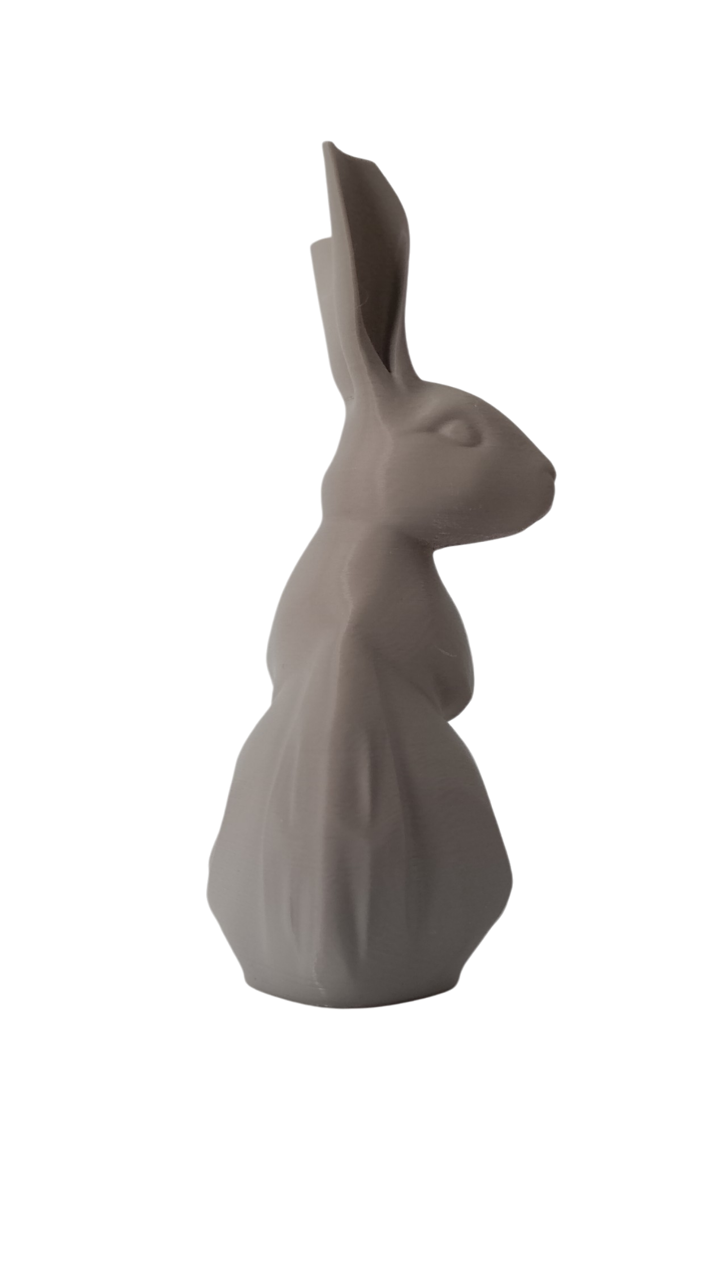 Geometric Bunny