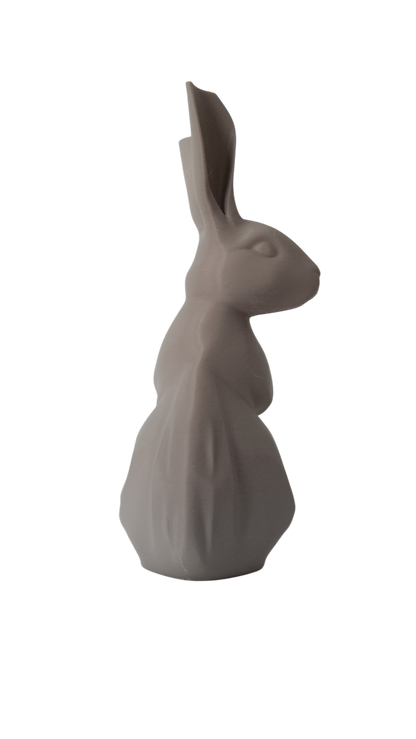 Geometric Bunny