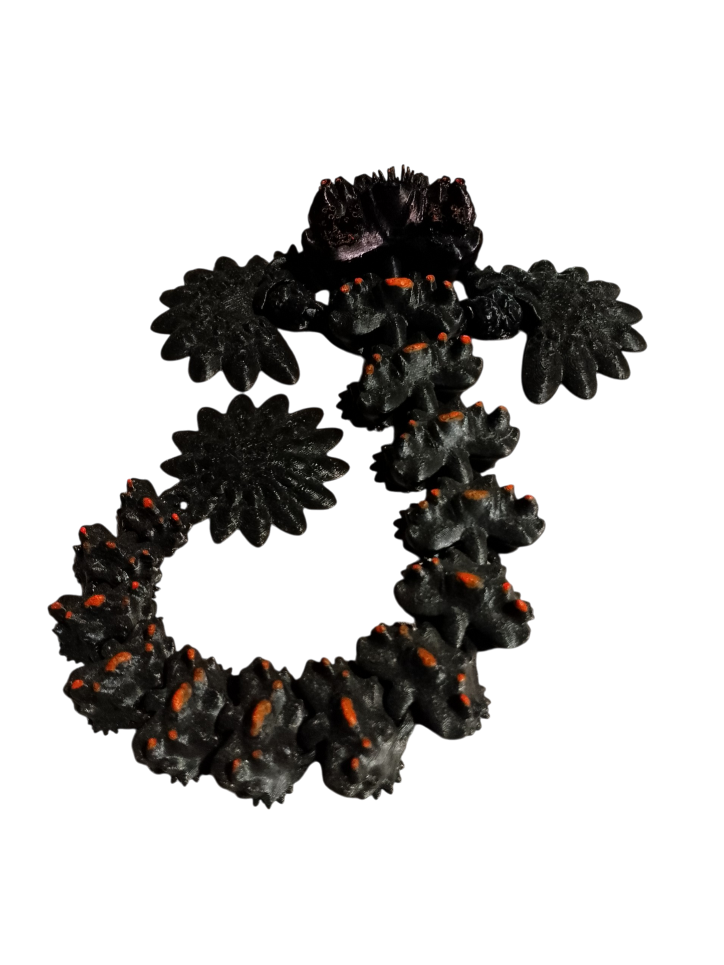 Coralix – Dragón Articulado