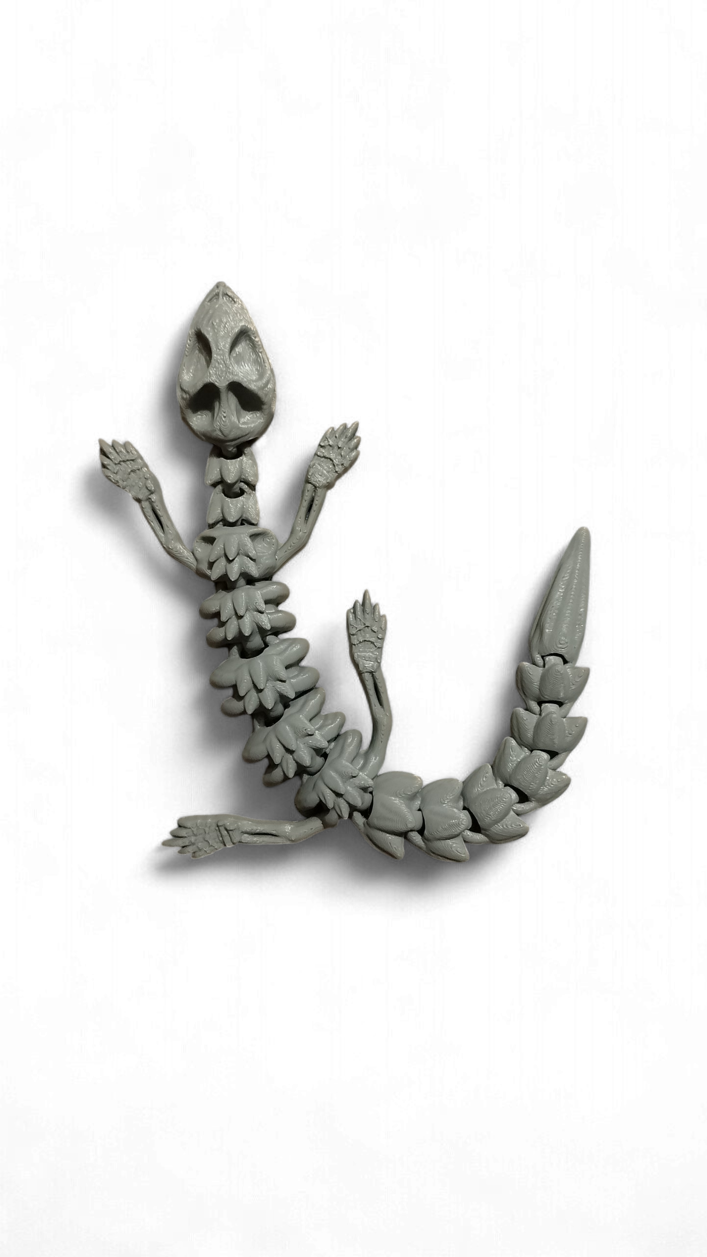 Skelly Lizard – Lagartija Articulada