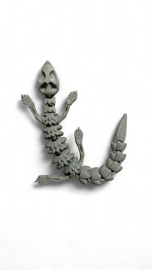 Skelly Lizard – Lagartija Articulada