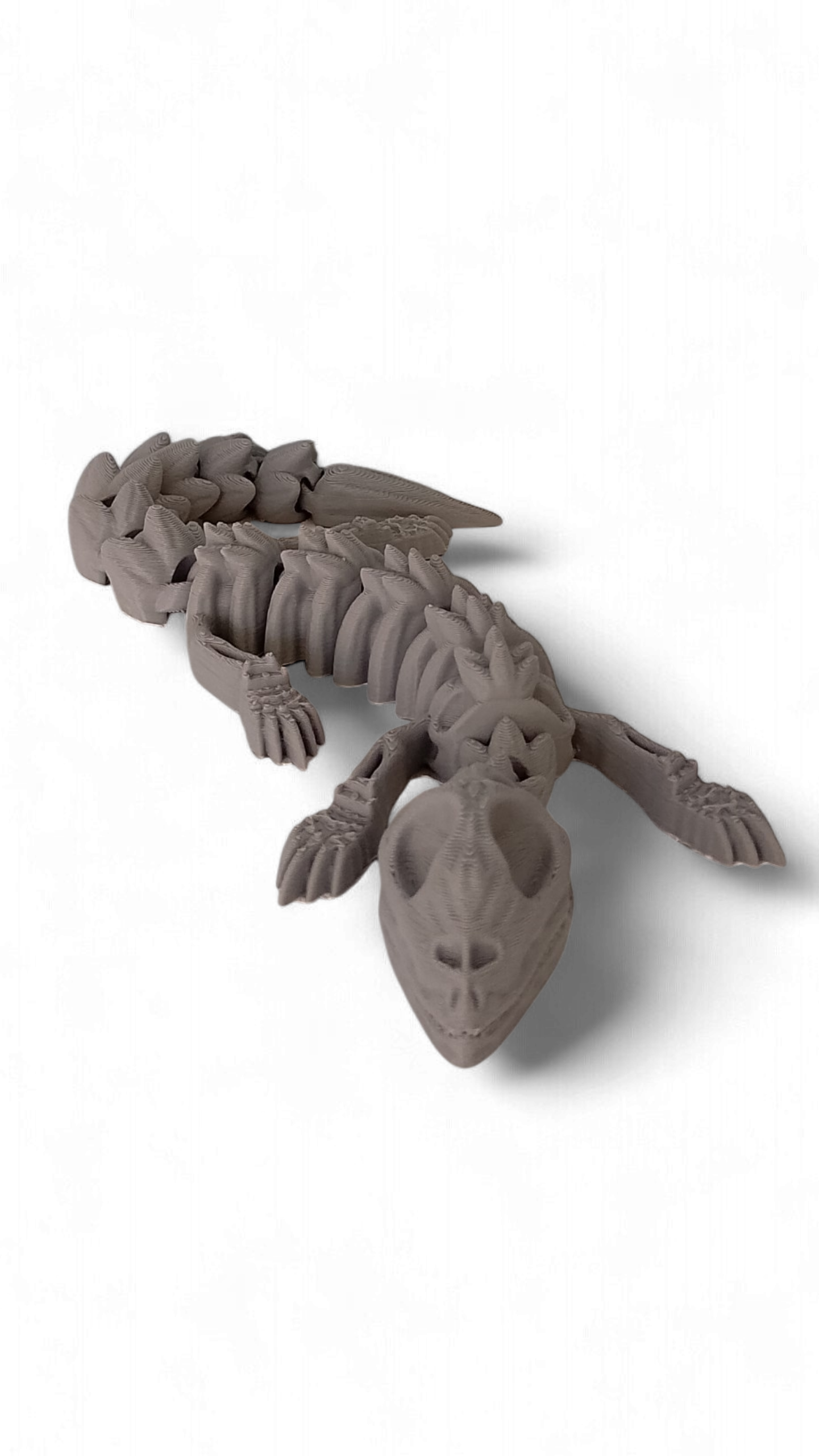 Skelly Lizard – Lagartija Articulada
