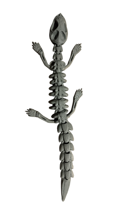 Skelly Lizard – Lagartija Articulada