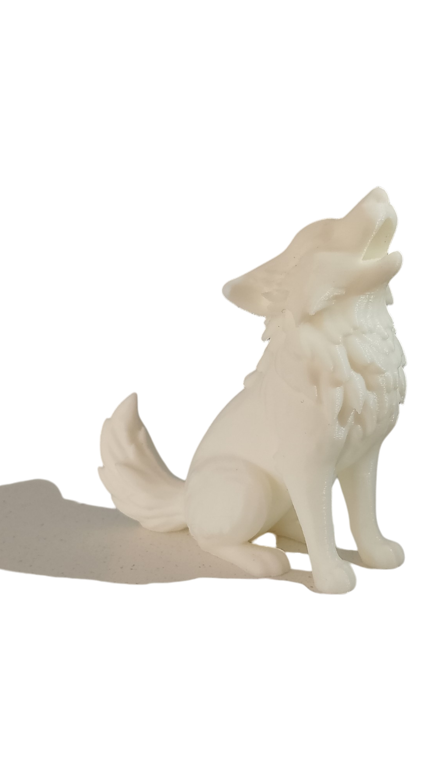 Moon Pup – Lobito Decorativo