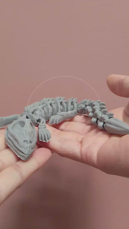 Skelly Lizard – Lagartija Articulada
