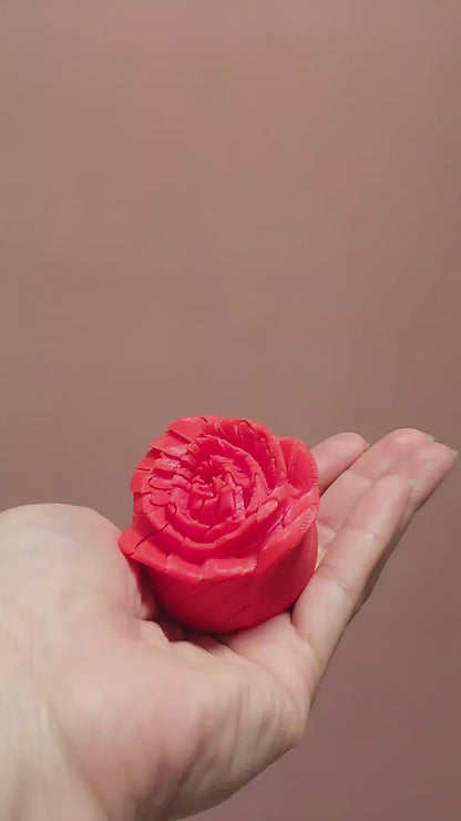 Slippery Rose – Rosa Sensorial