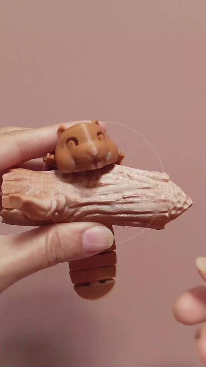 BeaverPlay – Set Interactivo