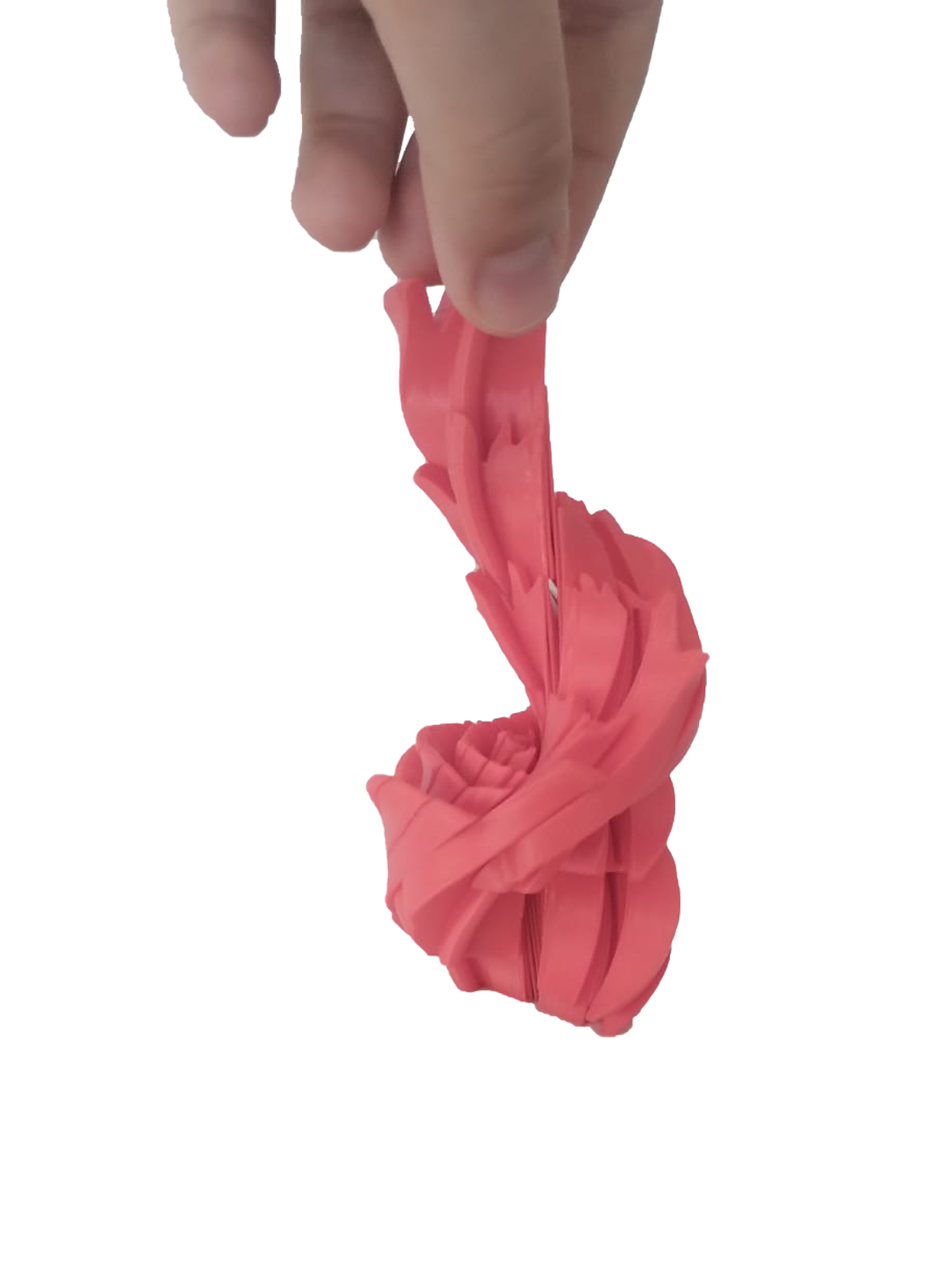 Slippery Rose – Rosa Sensorial