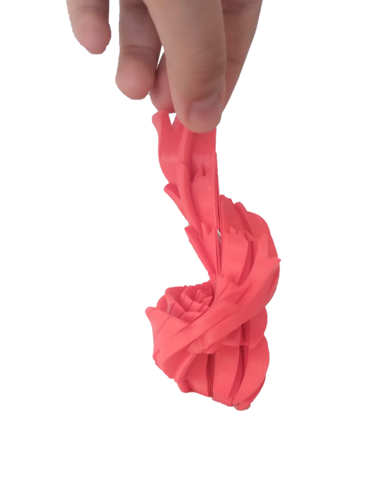 Slippery Rose – Rosa Sensorial