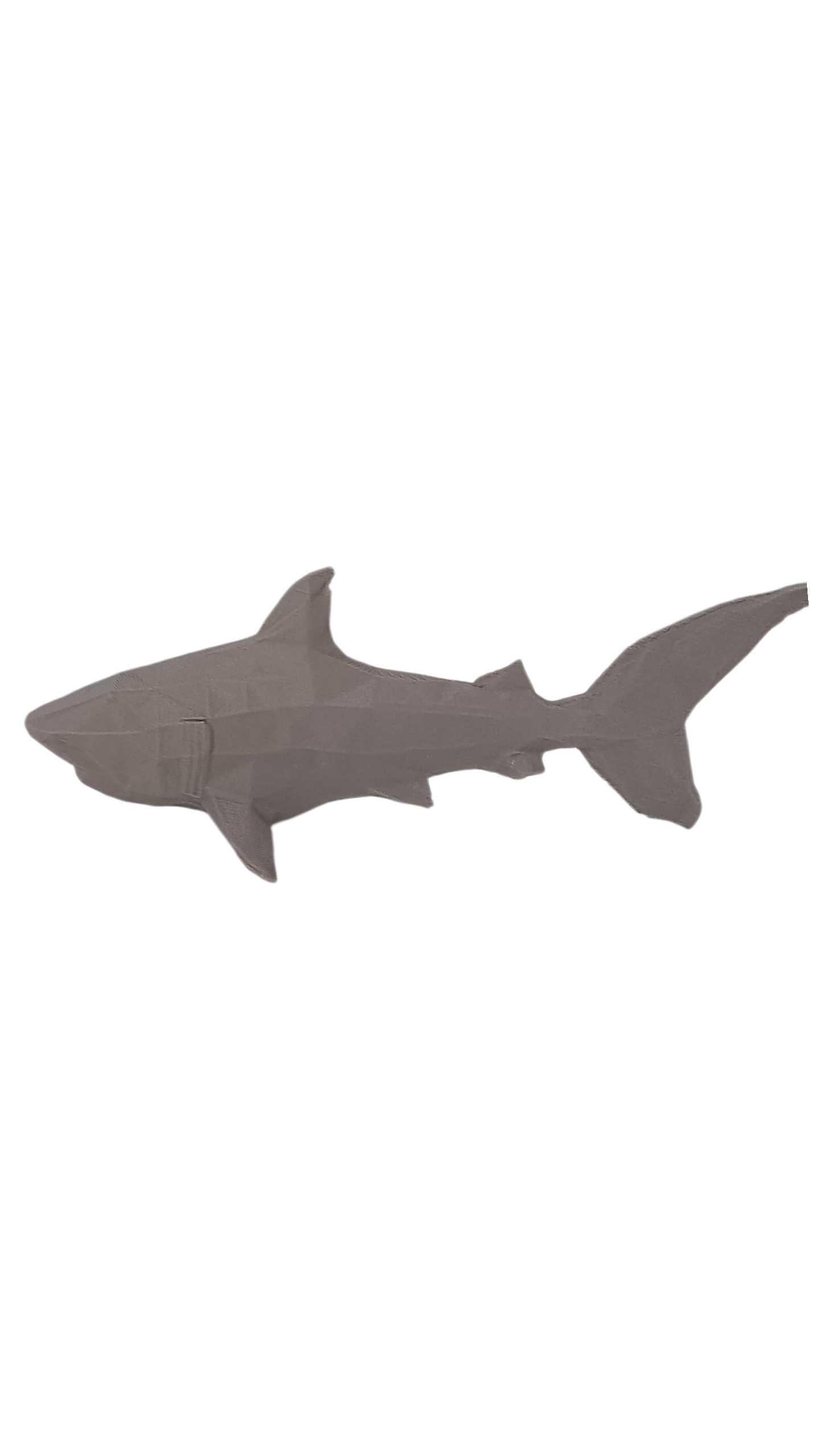 GeoShark – Tiburón Abstracto